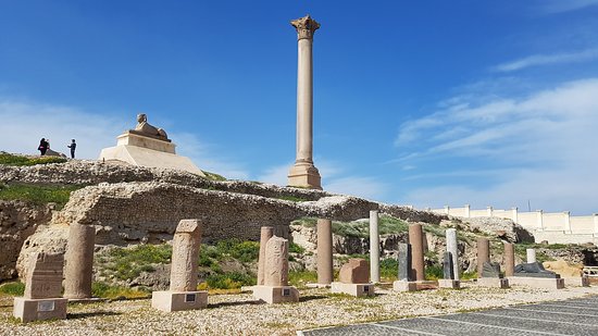 dia completo por la ciudad de Alejandria 